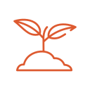 Pathogen-Free Plant Tissue Culture